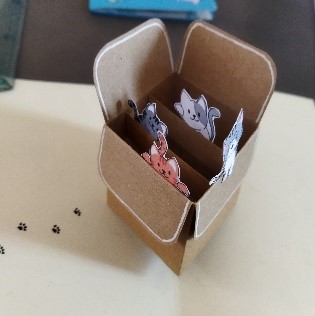 carte boîte